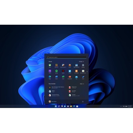Windows 11 Pro - ESD All languages